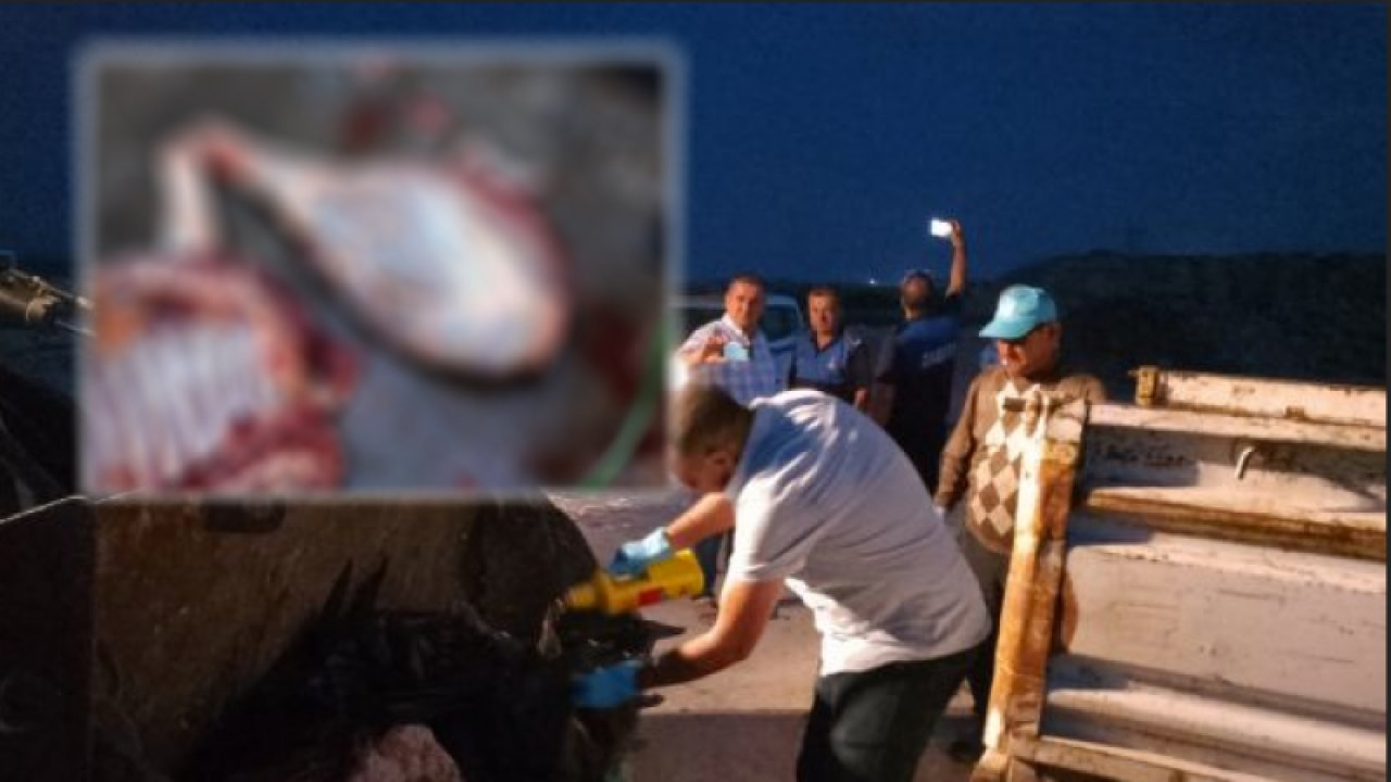GAZİANTEP'TE AT ve EŞEK KESİP VATANDAŞA KOYUN ETİ DİYE SATMIŞLAR! Gaziantep'te ele geçirilen yaklaşık 300 kilogram AT VE EŞEK eti imha edildi