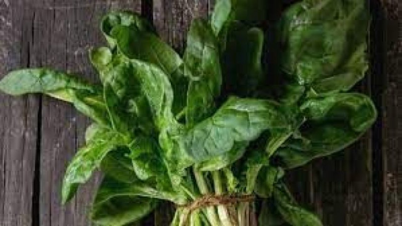 Alzheimer’e yakalanma riskinizi en aza indirin! Bu besinleri tabağınızdan eksik etmeyin!