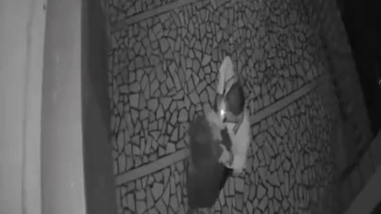 Tartıştığı genç kızı önce tokatladı, sonra saçından tutarak ittirdi