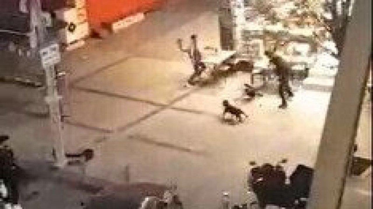'Ne bakıyorsun' kavgası... İşyerine 'pitbull' ile saldırdılar