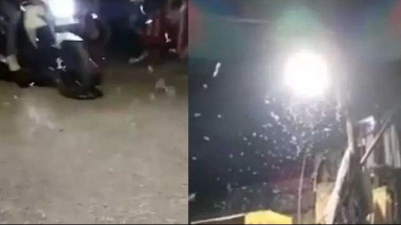 Yok artık dedirten olay! Gökten solucan yağdı, yetkililer uyardı...