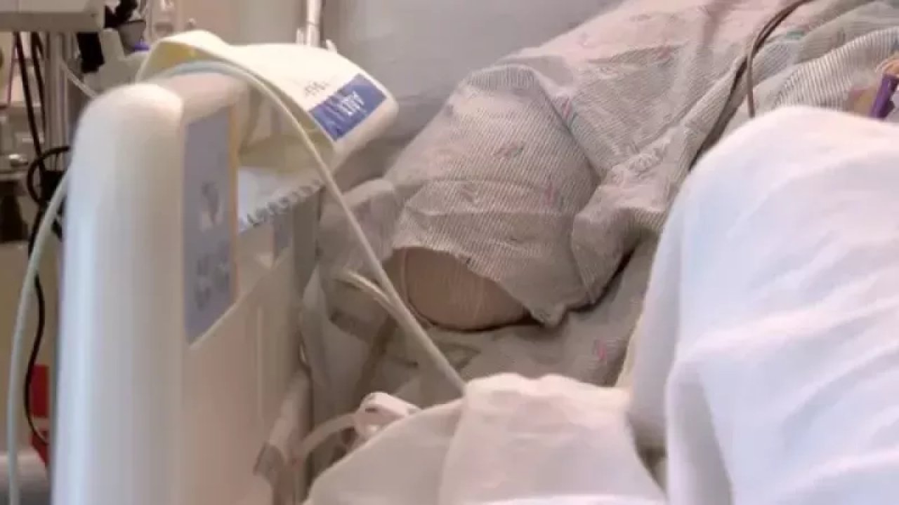Metrelerce uzunluktaki timsah sudan çıktı, talihsiz adamın kolunu kopardı...