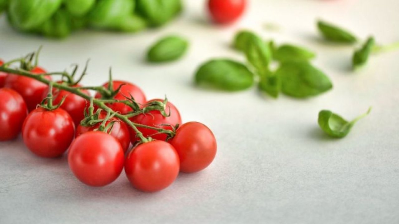 Cilt kanseri riskini azaltan domates aynı zamanda güçlü bir antioksidan! Domatesin bilimsel olarak açıklanmış faydaları!