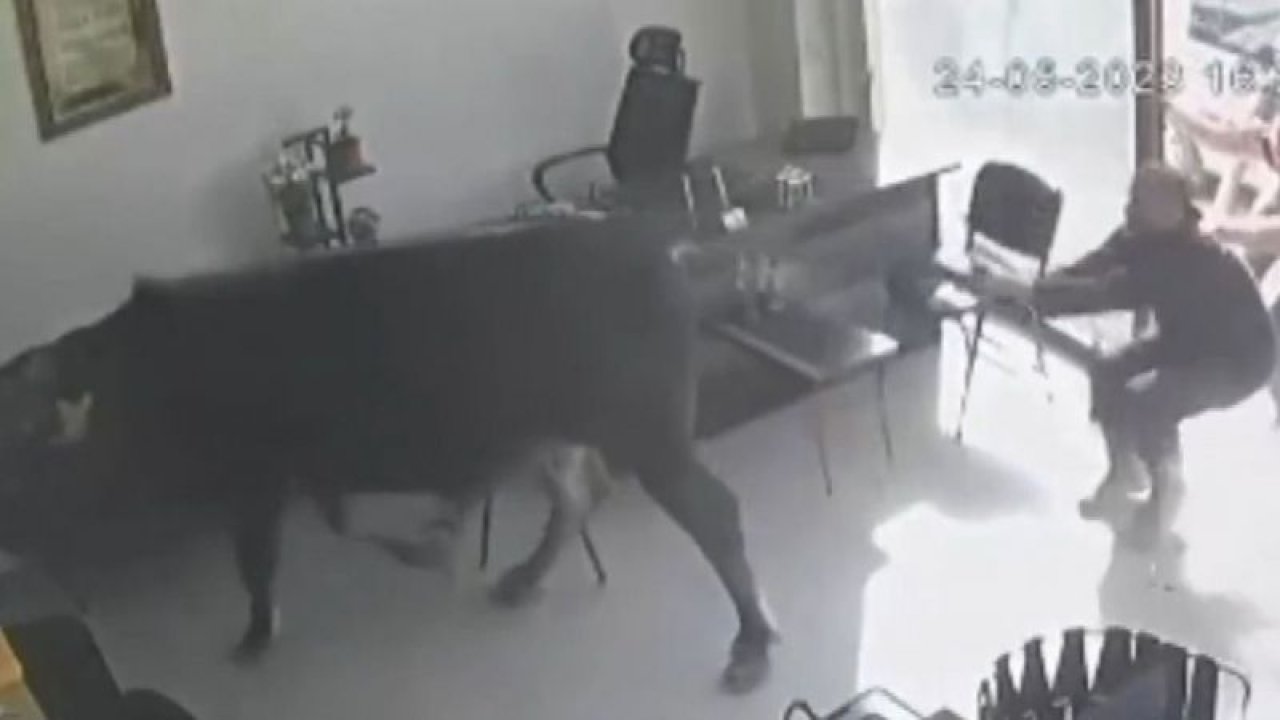 Firari dana emlakçıya daldı ortalık savaş alanına döndü!