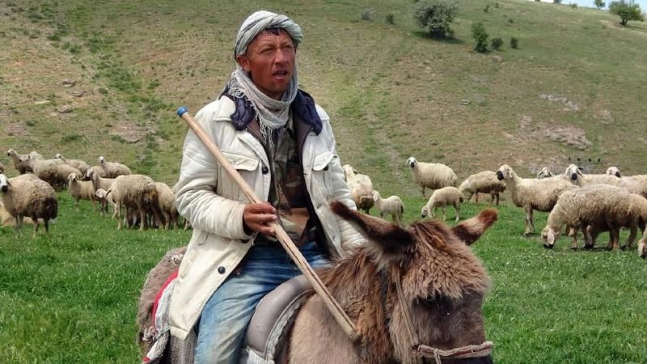 16 bin lira maaş, sigorta, yemek ve barınma... İş var başvuran yok!