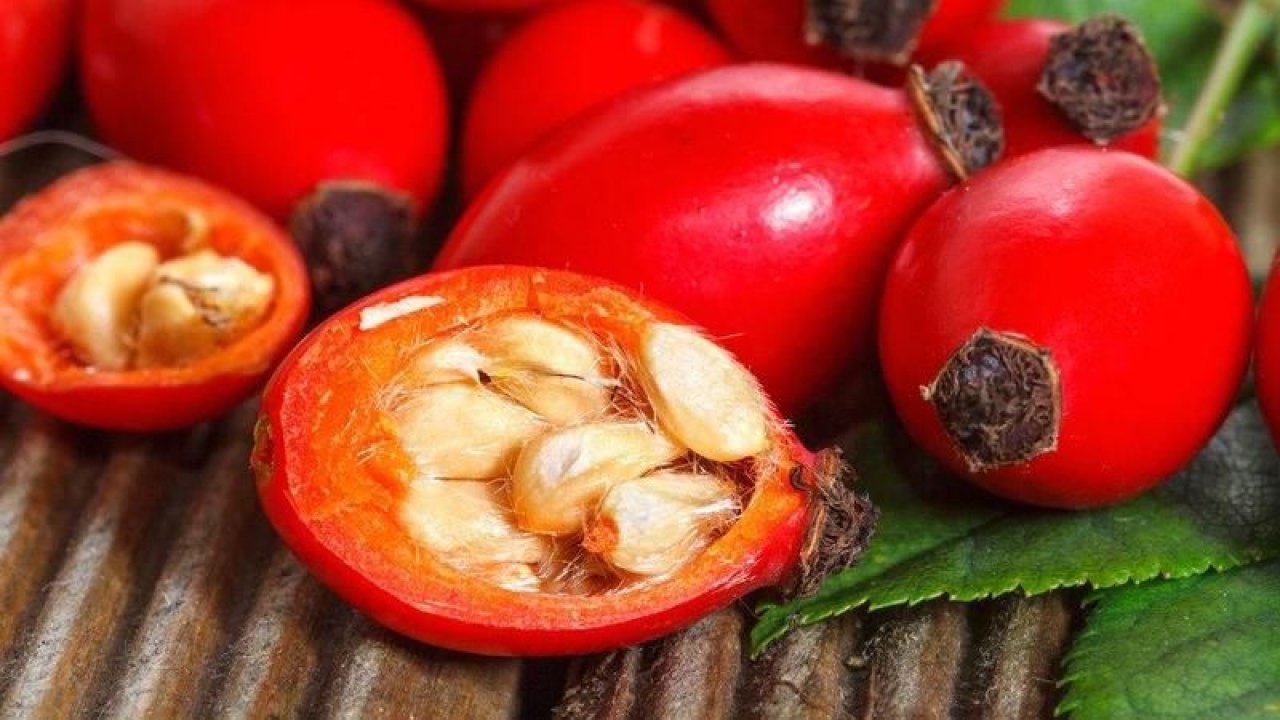 Kuşburnu diyabet başta olmak üzere birçok hastalık için olumlu etkiye sahip! Günde sadece 5 gram tüketerek diyabet tedavisinde etken rol oynayabilir!