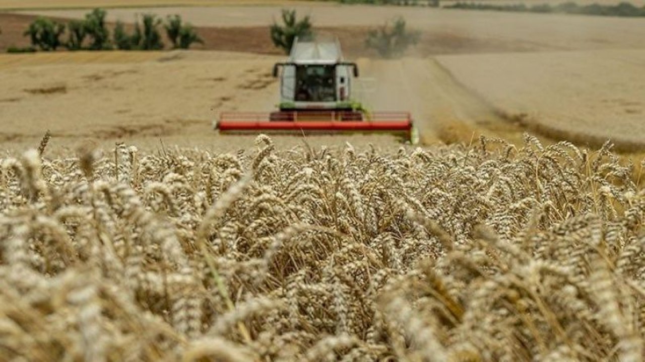 Nisan yağmurları yeterli oldu mu? Tarımsal kuraklık riski var mı?