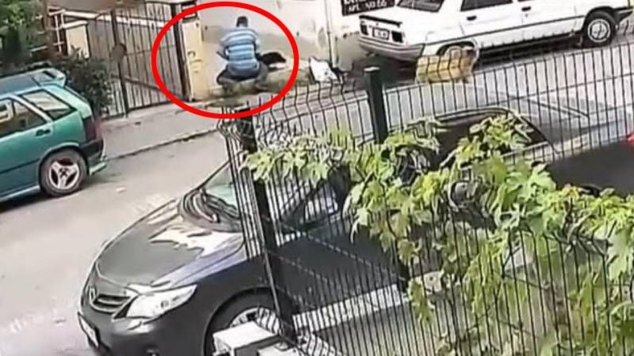 Hatay’da korkunç olay güvenlik kameralarına takıldı! Sokak köpeğine cinsel istismarda bulunan şüpheli için gözaltı kararı!