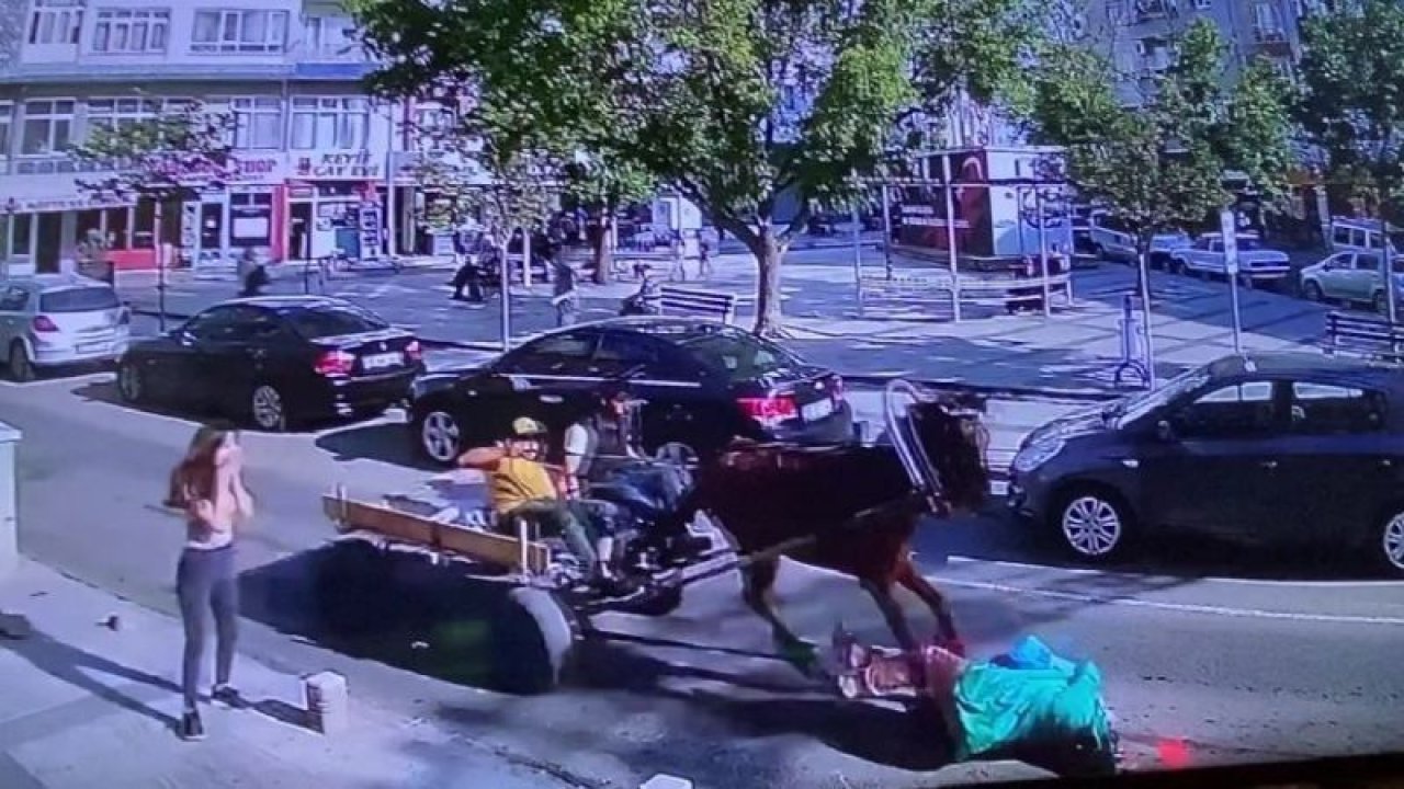 Sahibinin zapt edemediği at kadına çarptı