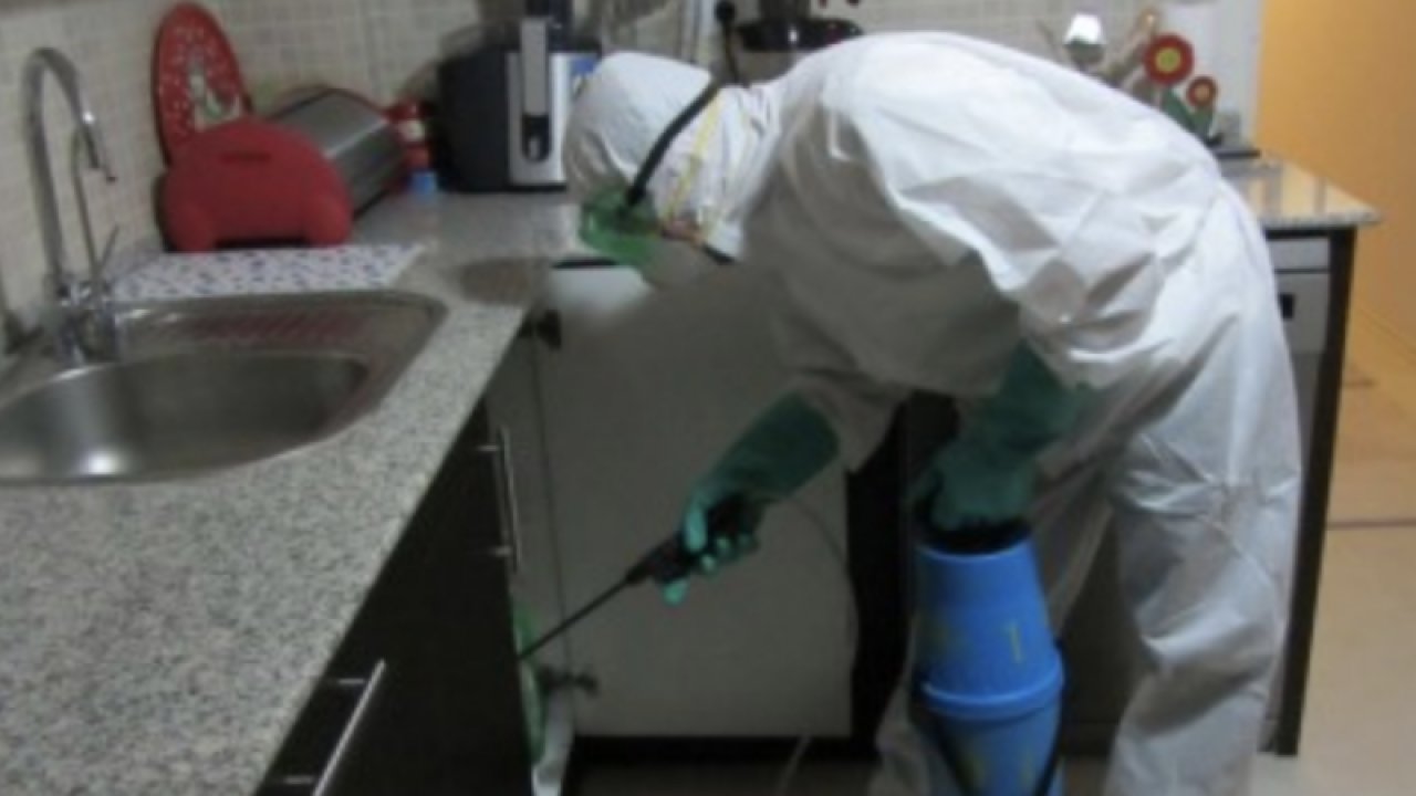 Ankara’da ilaçlama faciası sonrası uzmanlar uyarıyor: “Evde asla kullanılmamalı”