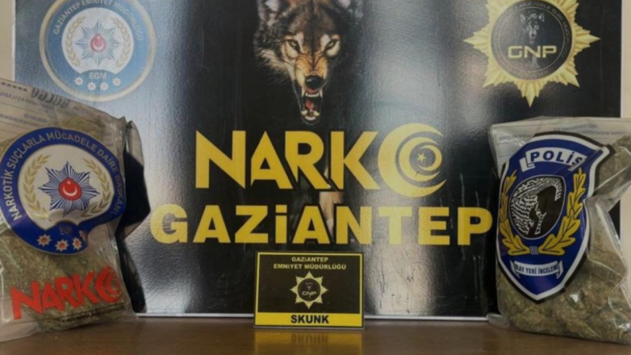 Gaziantep'te 2 kilo skunk ele geçirildi
