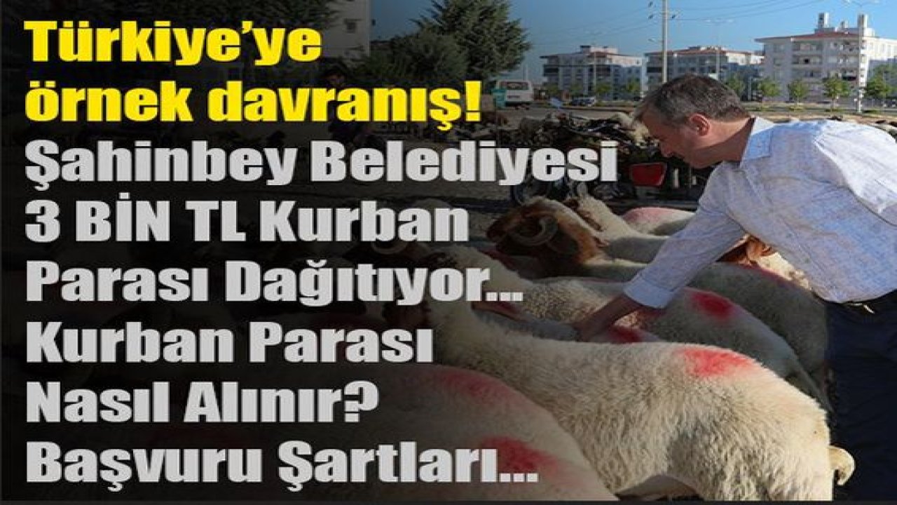 Gaziantep ŞAHİNBEY BELEDİYESİ'NDEN 3 BİN Lira KURBAN BAYRAMI YARDIMI Başkan Tahmazoğlu DUYURDU! Kurban Parası Nasıl Alınır? Başvuru Şartları nelerdir?