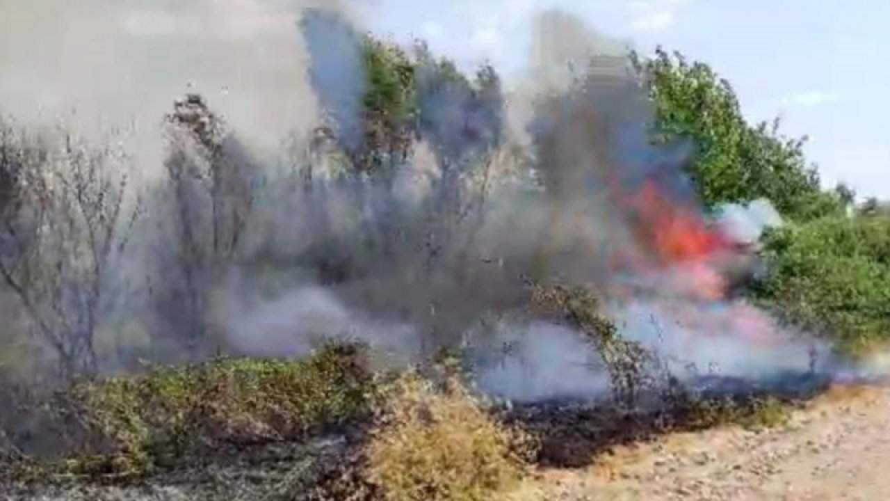 Gaziantep’in Karkamış ilçesinde Fırat nehri kenarında korkutan orman yangını... İŞTE O ANLAR