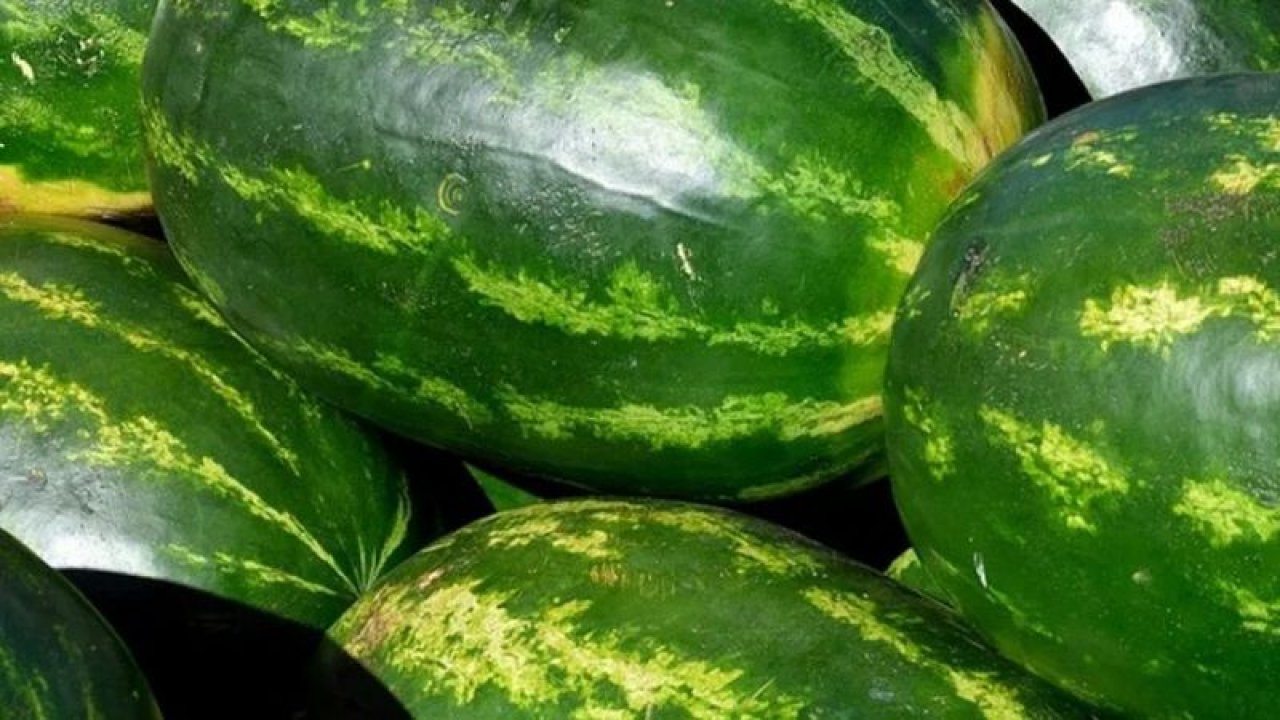 Kelek karpuz yemek istemiyorsanız bu yöntemleri deneyin: Böyle olan karpuzları, hemen alın! %100 garantili yöntem…