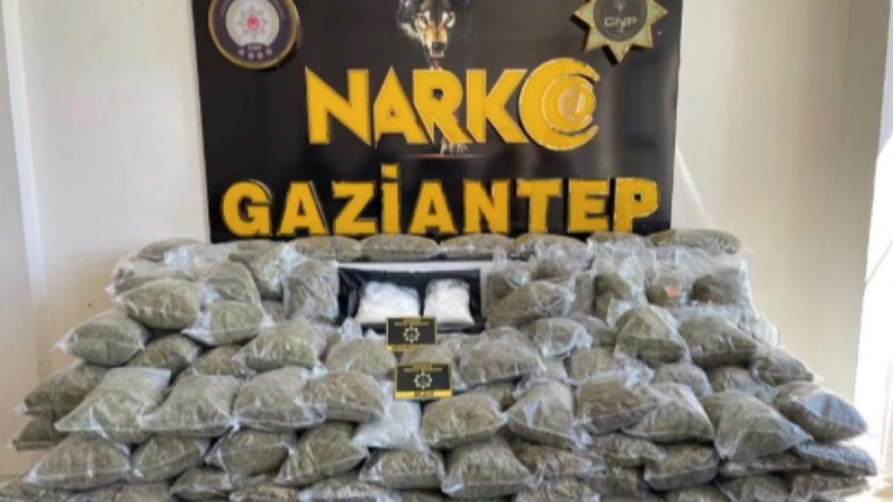 Gaziantep'te 80 kilo skunk ele geçirildi... Video Haber