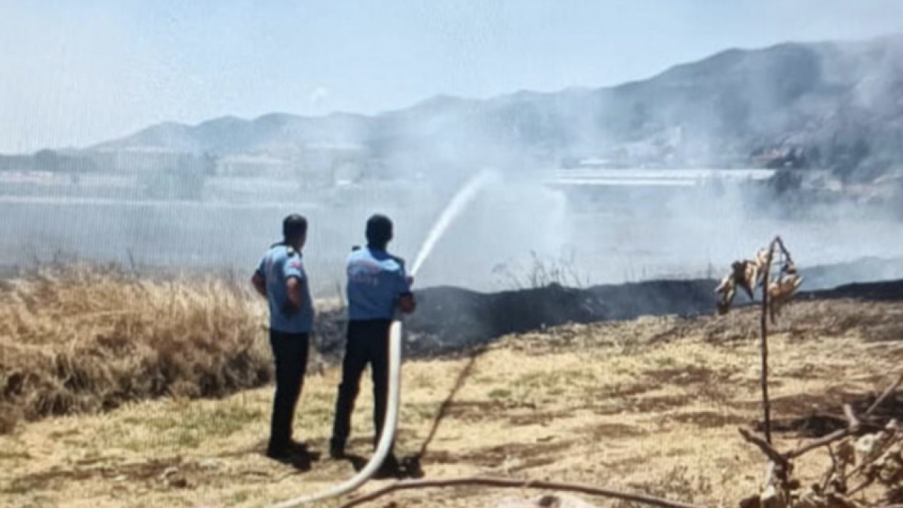Gaziantep'te anız yangını, 45 dönüm alan ile çok sayıda ağaç yandı