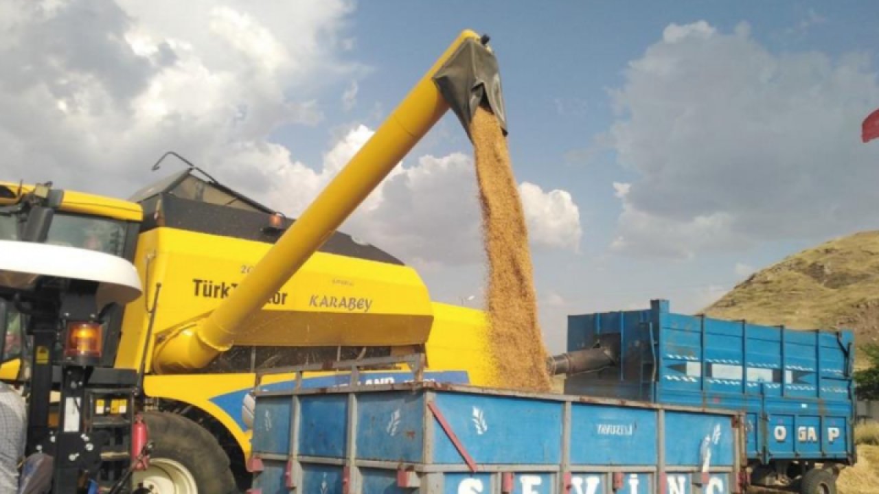 Gaziantep’in Yavuzeli ilçesinde buğday ve arpa hasadı sürüyor.
