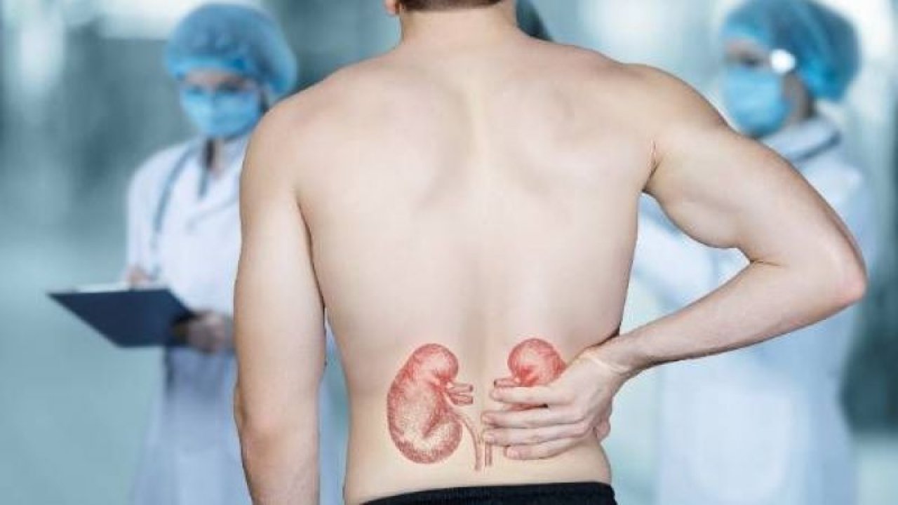 Etkileri ölümcül olabilir! Karın ve sırt ağrıları en büyük belirtisi! Böbrek ağrıları neden olur? Böbrek ağrısına ne iyi gelir?