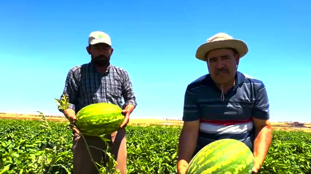 Şahinbey Belediye Başkanı Mehmet Tahmazoğlu Paylaştı... Çiftçiler Bakın Neler Diyor?