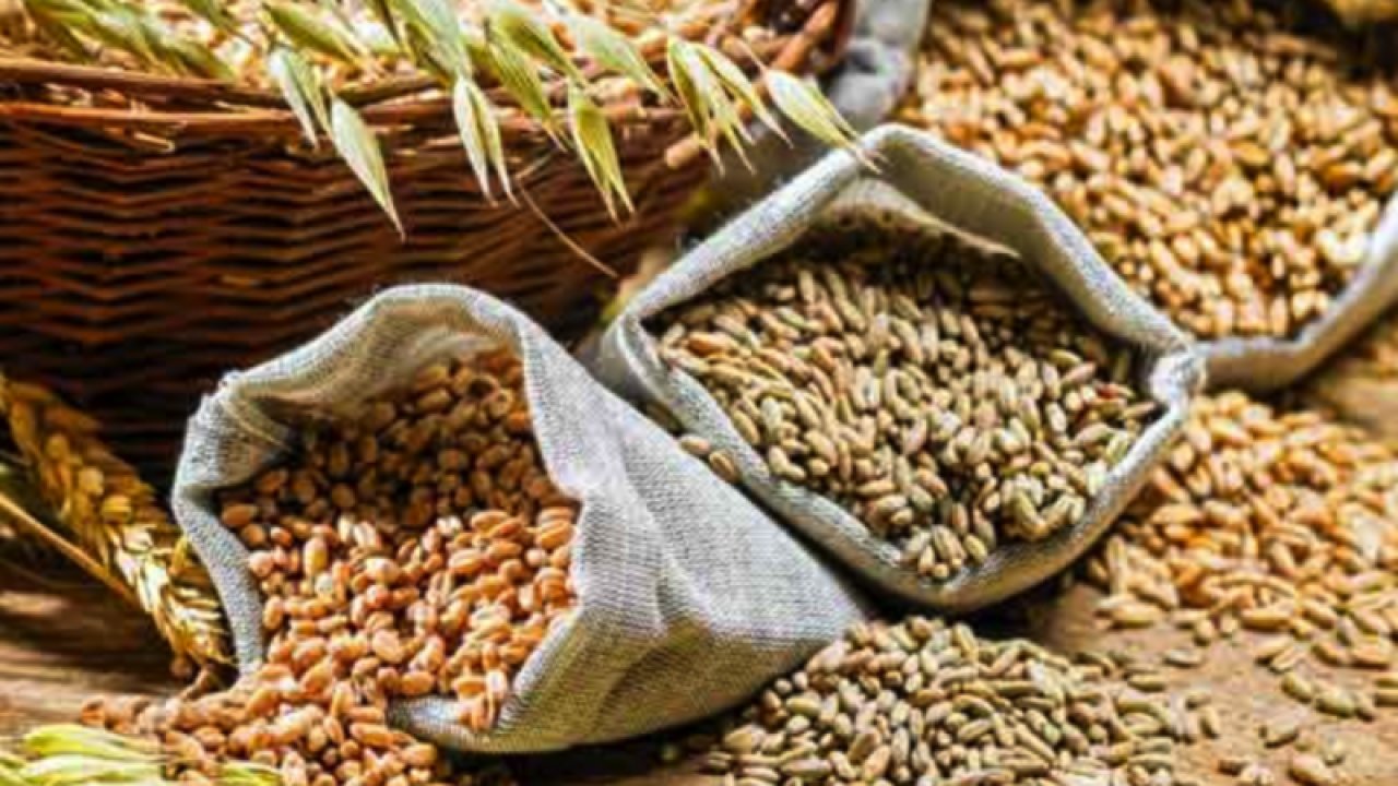 Gaziantep Ticaret Borsası 3 Ağustos 2023 Perşembe Mercimek, Buğday, Arpa Ve Mısır Fiyatlarını Açıkladı... Gaziantep'te Mercimek Fiyatları