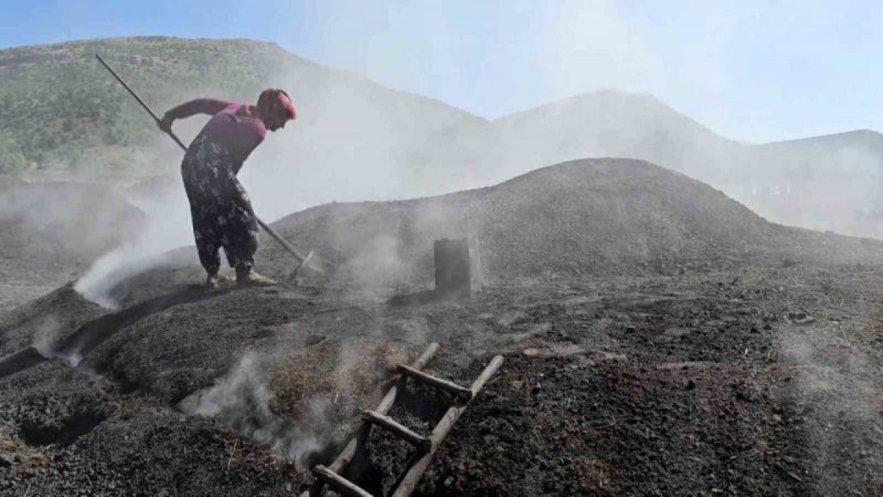 Mangal kömürü değil bir sanat eseri!