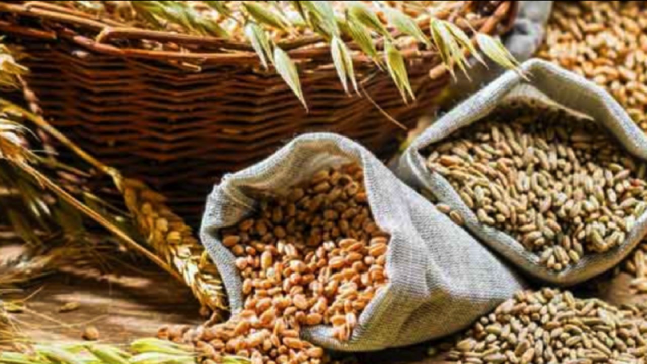 Gaziantep Ticaret Borsası 11 Ağustos Cuma 2023 Mercimek, Arpa, Mısır ve Buğday Fiyatlarını Açıkladı. Gaziantep'te mercimeğin kilogram fiyatı ne kadar?