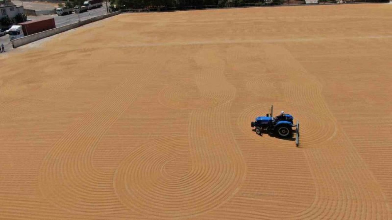 Gaziantep'in GÜNEŞ'LE Buluşan Lezzeti! Sofraların vazgeçilmez lezzeti bulgurun meşakkatli yapım serüveni