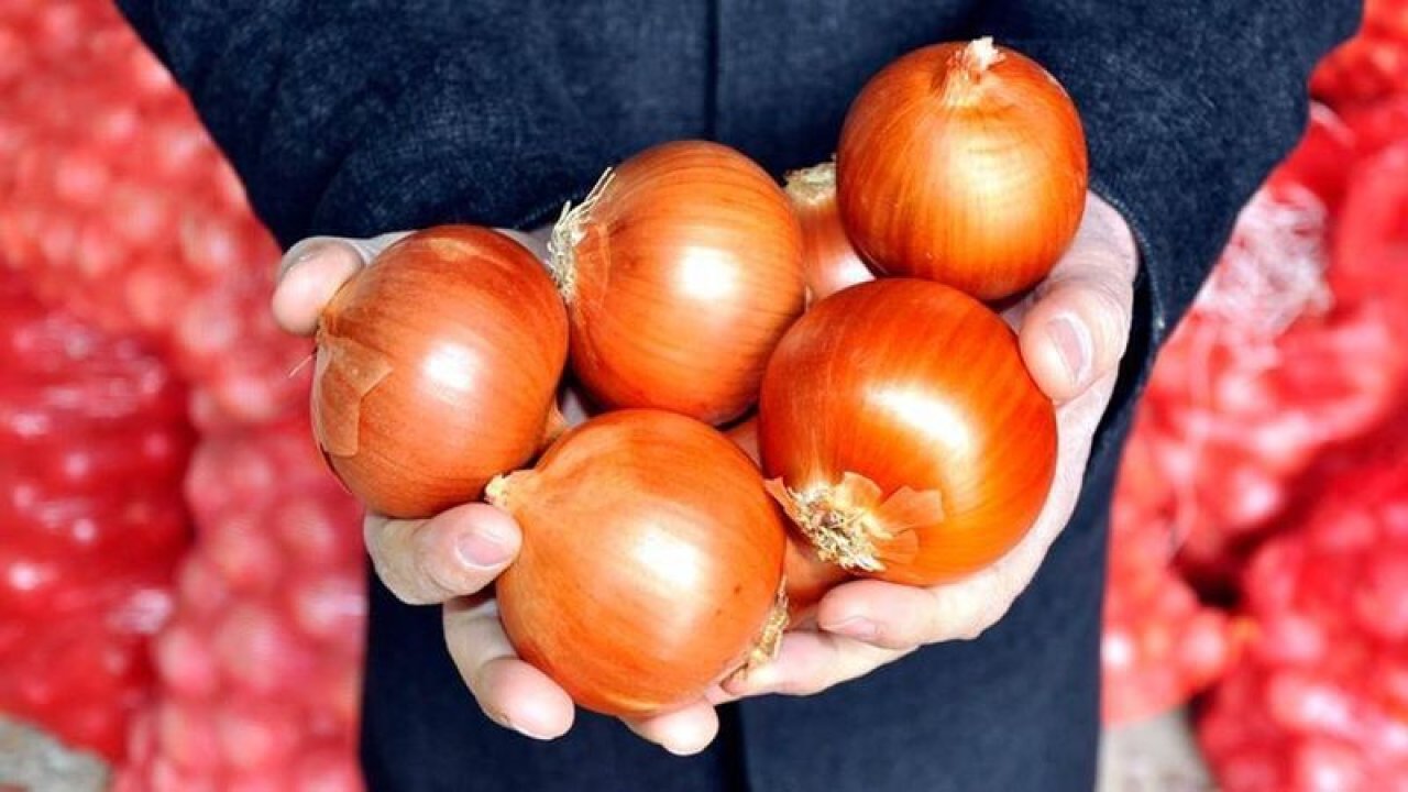 Uzman isim uyardı: O besini yanlış tüketenler gıda zehirlenmesi yaşıyor! Soğan tek hamlede nasıl zehre dönüyor?