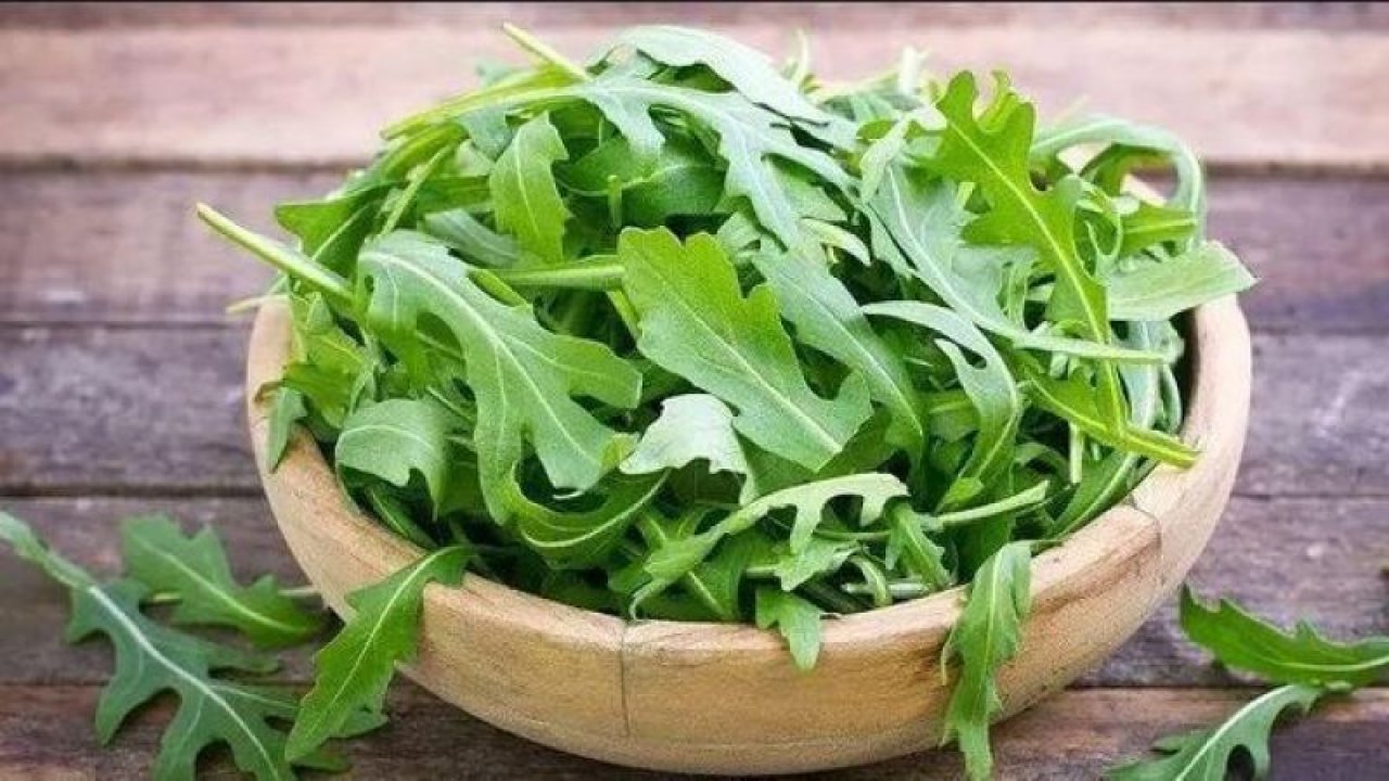 Sindirim sistemi rahatsızlıklarına tere otu tavsiyesi: Hazımsızlığı gideriyor, kan şekerini dengeliyor! Düzenli tüketimde göz sağlığı da...