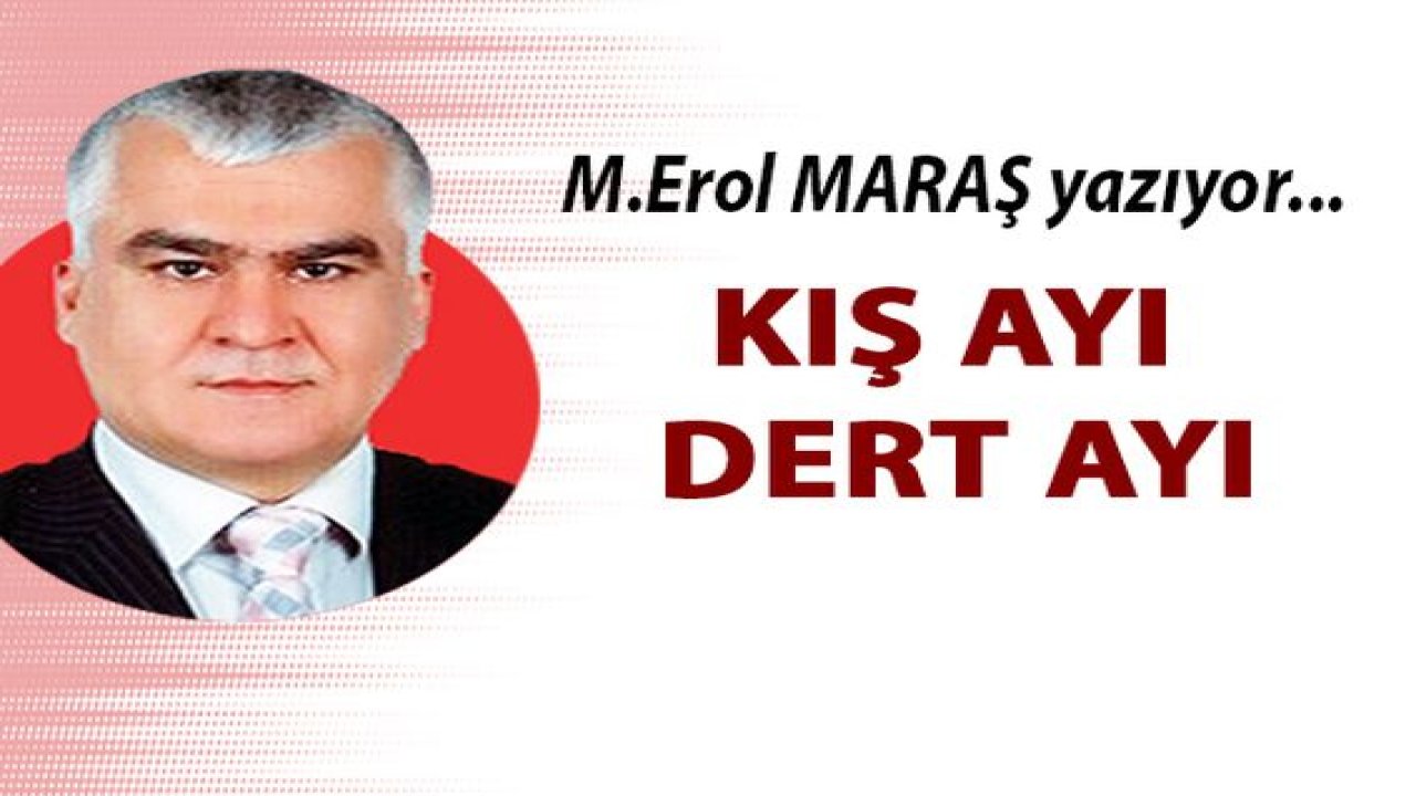 Kış ayı dert ayı