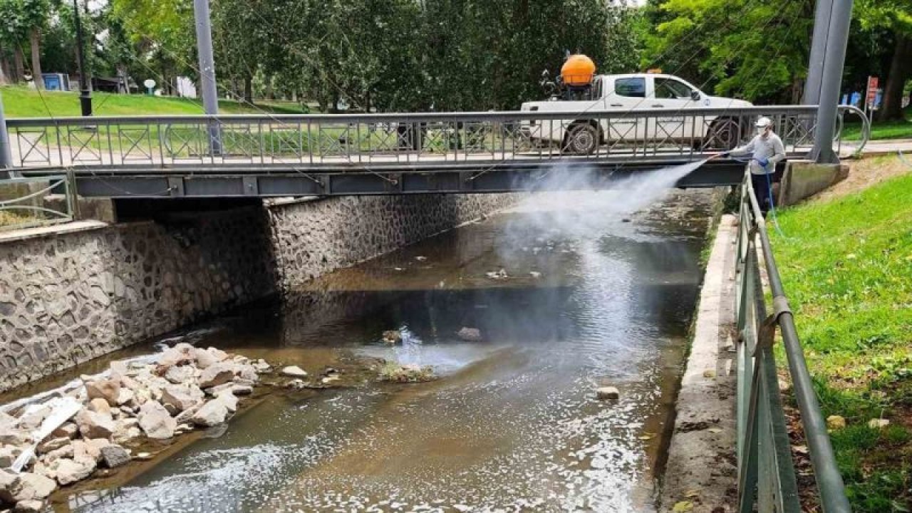 Gaziantep’te sivrisinek ve karasineklere karşı ilaçlama çalışmaları devam ediyor