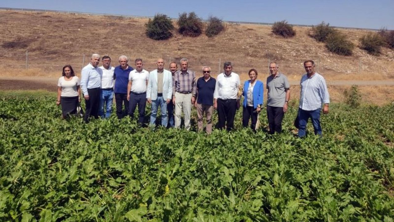 Şekerpancarı’nın tadı kaçtı