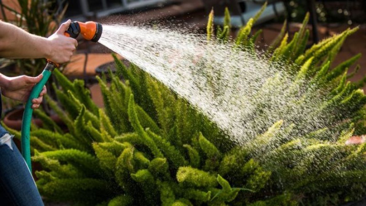 Rüyada Çiçek Sulamak Ne Anlama Gelir?