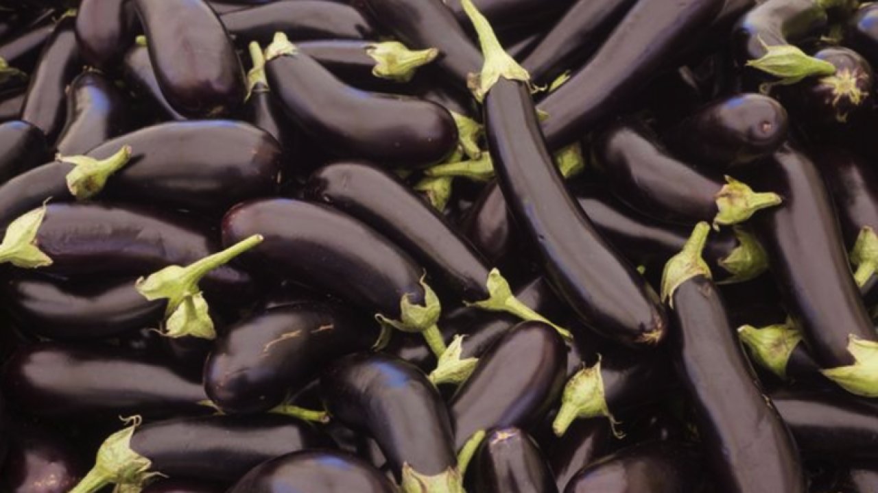 Patlıcan Nasıl Seçilir? Patlıcan'ın Taze Olduğunu Nerden Anlarız?