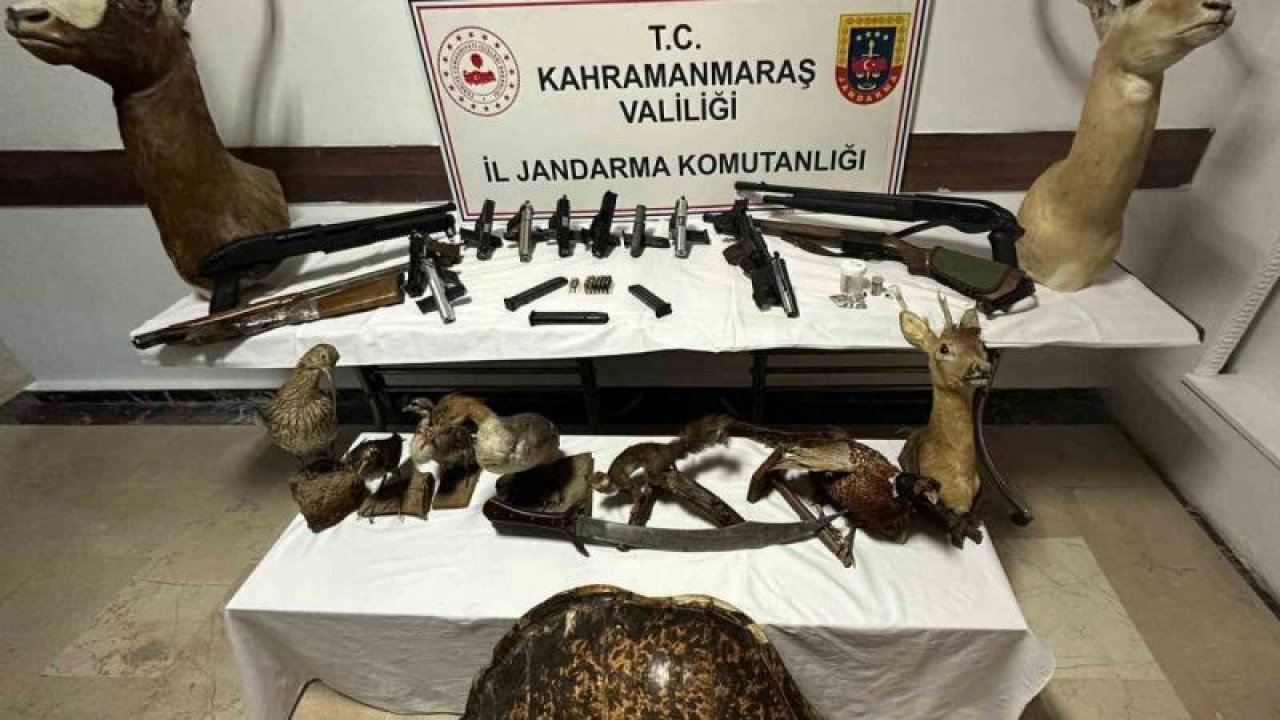 Gaziantep'e Komşu İl Kahramanmarş'ta Baskın yapılan evden cephanelik çıktı! Hayvan Tahnitleri Yok Artık DEDİRTTİ... TAHNİT NEDİR?...