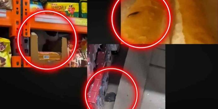 Gaziantep'te Zincir Marketlerde Rezalet! Böcek, Fare ve Kedi Skandalı!