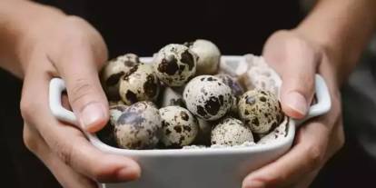 Tavuk Yumurtasına Alternatif: Bıldırcın Yumurtasıyla Sağlıklı Yaşama Adım Atın!