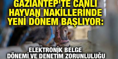 Gaziantep'te canlı hayvan nakillerinde yeni dönem başlıyor: Elektronik belge dönemi ve denetim zorunluluğu