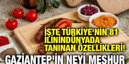 İşte Türkiye'nin 81 ilinin dünyada tanınan özellikleri! Gaziantep'in Neyi Meşhur