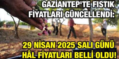 Gaziantep'te Fıstık Fiyatları Güncellendi: 29 Nisan 2025 Salı Günü Hâl Fiyatları Belli Oldu!