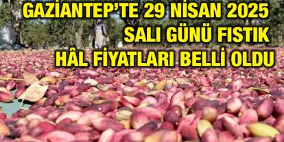Gaziantep’te 29 Nisan 2025 Salı Günü Fıstık Hâl Fiyatları Belli Oldu