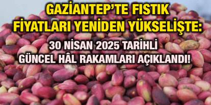Gaziantep’te Fıstık Fiyatları Yeniden Yükselişte: 30 Nisan 2025 Tarihli Güncel Hâl Rakamları Açıklandı!