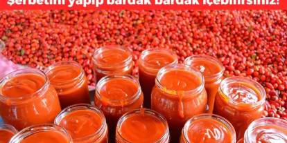 Sabahları Bu Şerbeti İçen Diz Ağrısını Unutuyor! Eklem Sıvısını Koruyor, Kemikleri Adeta Çelik Gibi Yapıyor