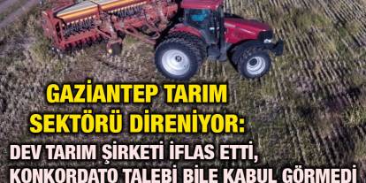 Gaziantep Tarım Sektörü Direniyor: Dev Tarım Şirketi İflas Etti, Konkordato Talebi Bile Kabul Görmedi