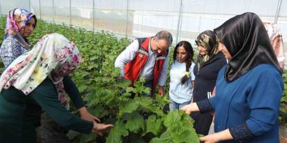 Türkiye Gaziantep'teki Bu Projeyi Konuşuyor:  Günde 500 kilo ürün alıyorlar