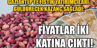 Gaziantep’te Fıstık Yatırımcıları Güldürecek Kazanç Sağladı: Fiyatlar İki Katına Çıktı!