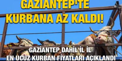 Gaziantep'te Kurbana Az Kaldı! Gaziantep Dahil İl İl En Ucuz Kurban Fiyatları Açıklandı