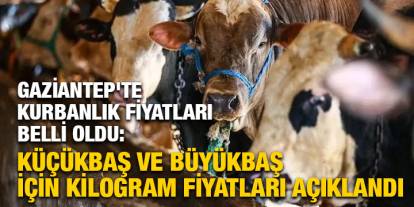 Gaziantep'te Kurbanlık Fiyatları Belli Oldu: Küçükbaş ve Büyükbaş İçin Kilogram Fiyatları Açıklandı