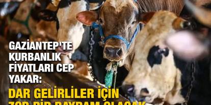Gaziantep'te Kurbanlık Fiyatları Cep Yakar: Dar Gelirliler İçin Zor Bir Bayram Olacak