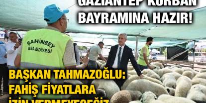 Gaziantep Kurban Bayramına Hazır! Başkan Tahmazoğlu: Fahiş Fiyatlara İzin Vermeyeceğiz